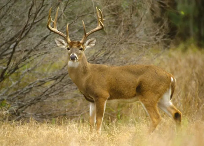 Hotel Kirsten Piil Bed & Breakfast 3*