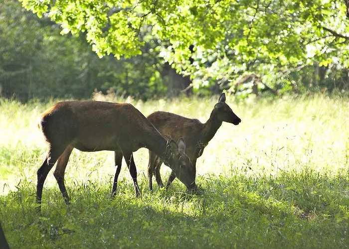 Hotel Kirsten Piil Bed & Breakfast Frühstückspension